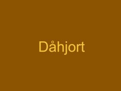 Dåhjort