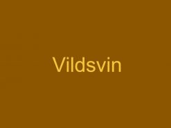 Vildsvin