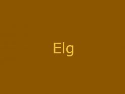Elg
