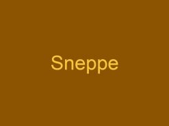 Sneppe