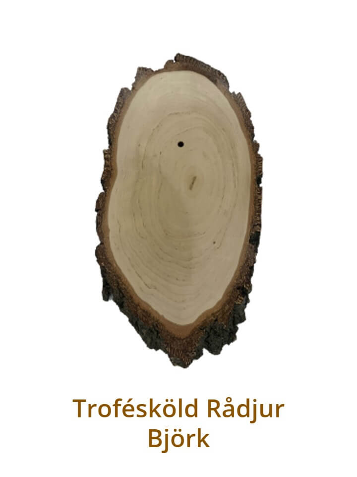 Trofésköld Rådjur - Ljus Björk