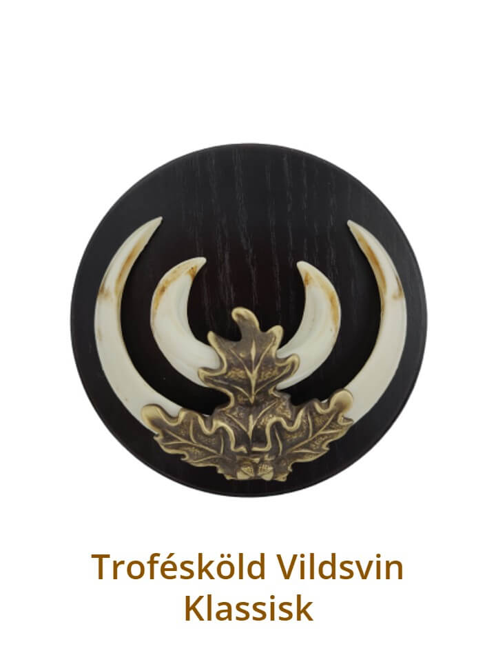 Trofésköld Vildsvin klasiske rund - - Mörk ek