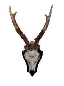 Bukkeplade som er magen til 58150077409 Dark wood Buck trophy-plate